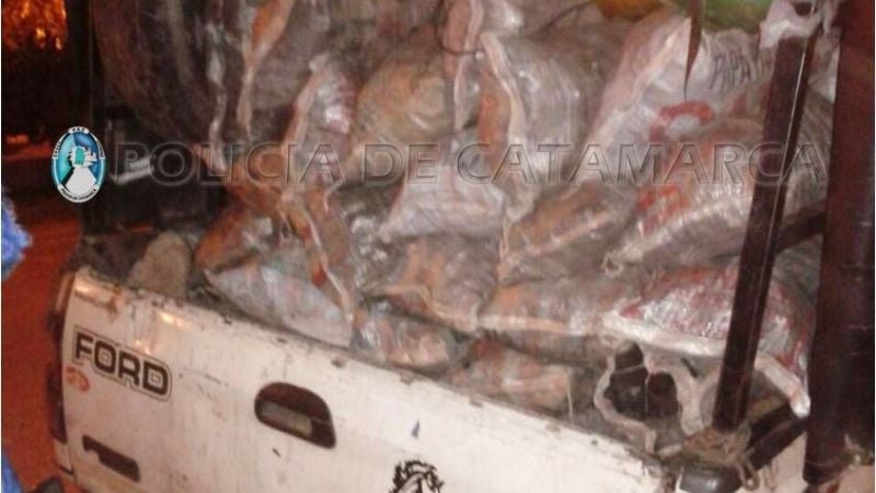 Retienen camioneta que llevaba 80 bolsas de carbón