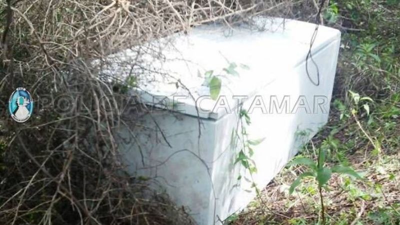 Recuperan una heladera robada