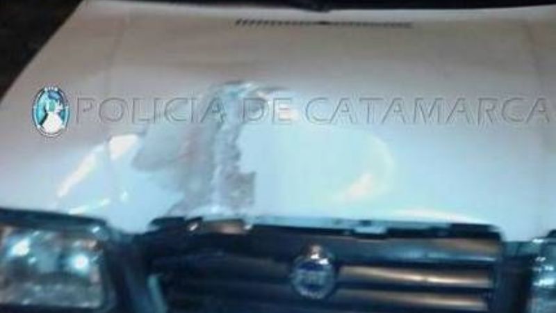 Impactó contra un poste