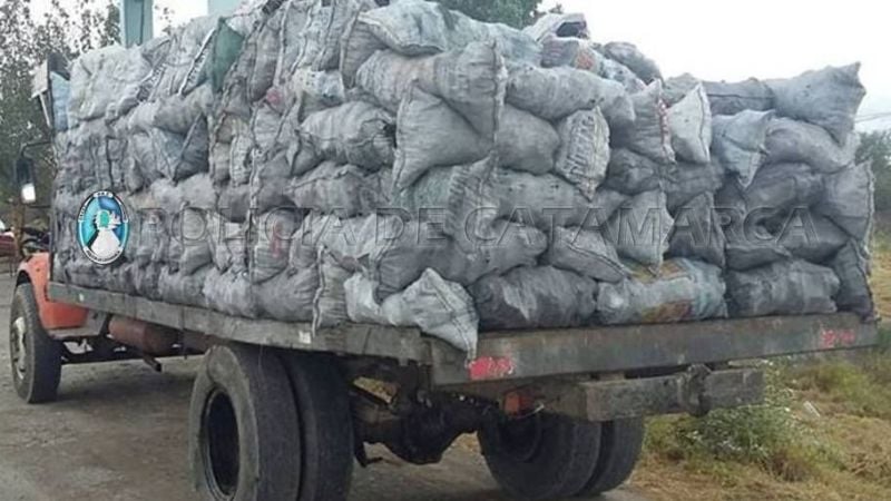 Secuestran leña y carbón en Nueva Coneta