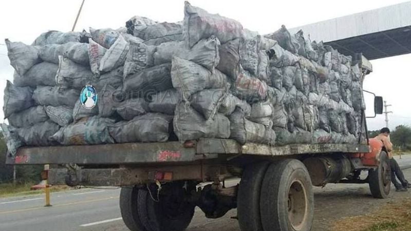 Secuestran leña y carbón en Nueva Coneta
