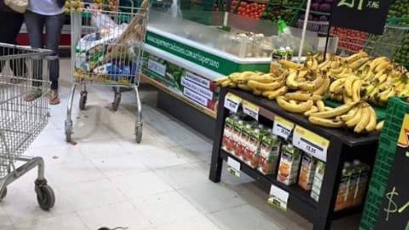 Ratones se cruzan entre carro y carro en el supermercado