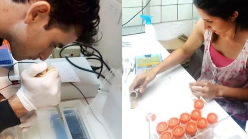 Desarrollan una suerte de "evatest" para detectar glifosato