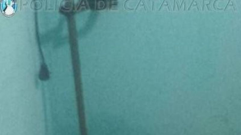 Secuestran elementos robados