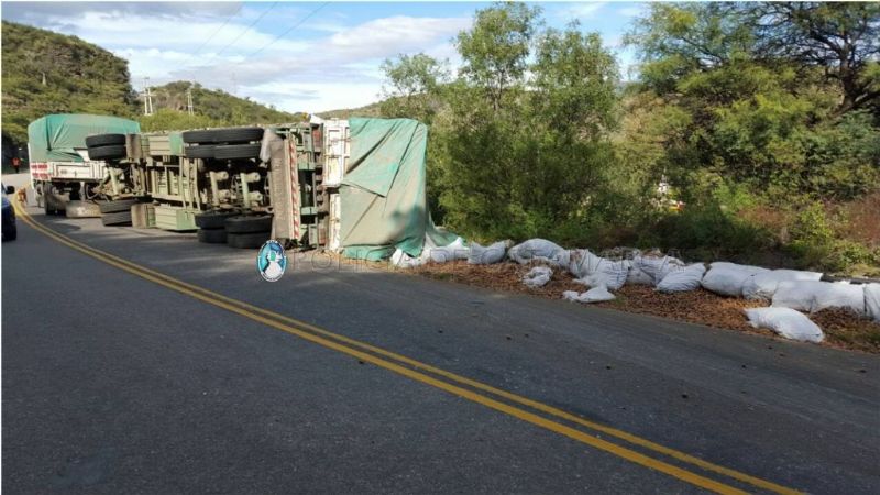Un camión volcó en la ruta 1