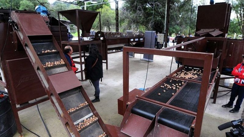 La Gobernadoora habilitó una nueva planta procesadora de nuez