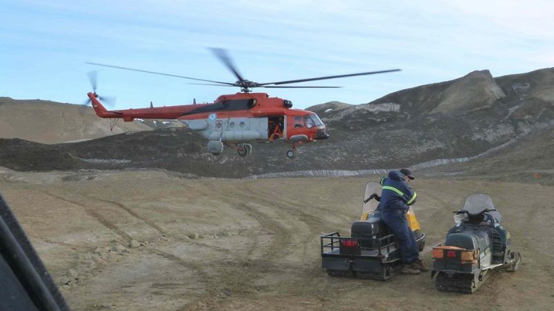 Descubren un ave gigante de 50 millones de años en la Antártida