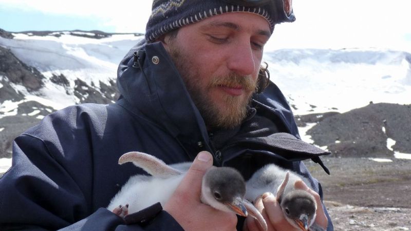 Descubren un ave gigante de 50 millones de años en la Antártida