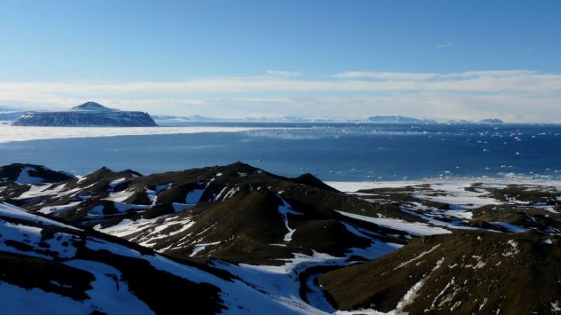 Descubren un ave gigante de 50 millones de años en la Antártida