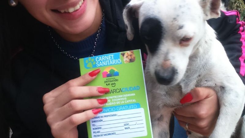 Campaña de Salud Animal Municipal en Banda de Varela