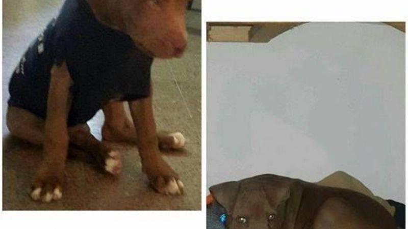 ¿Nos ayudan a encontrarlo?