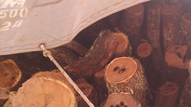 Secuestran un cargamento de leña en La Paz