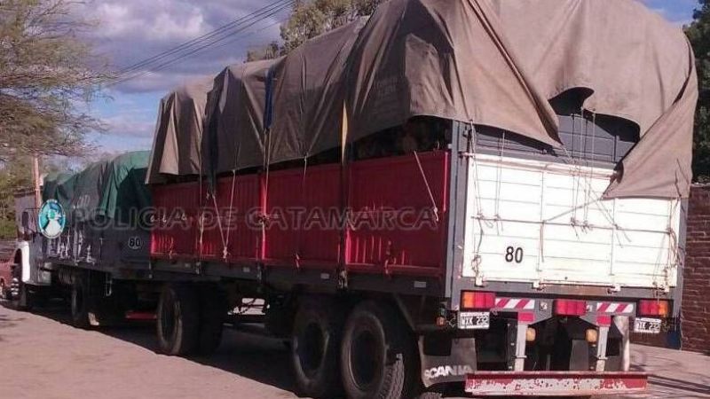 Secuestran un cargamento de leña en La Paz