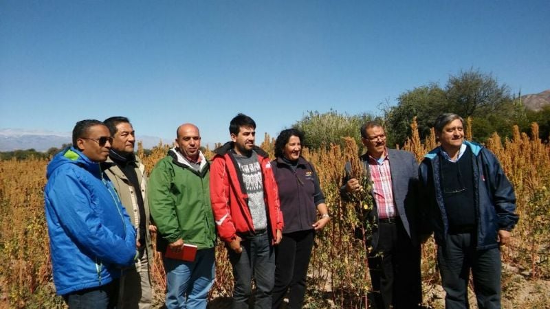 Técnicos egipcios interesados por el cultivo de quinua