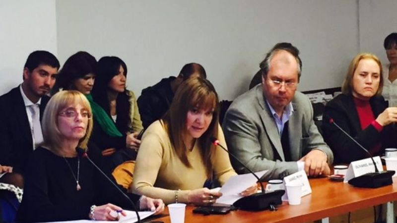 La Comisión de Economías Regionales recibió a productores lecheros