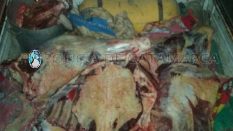 Secuestran 200 kilos de carne faenada en Huillapima