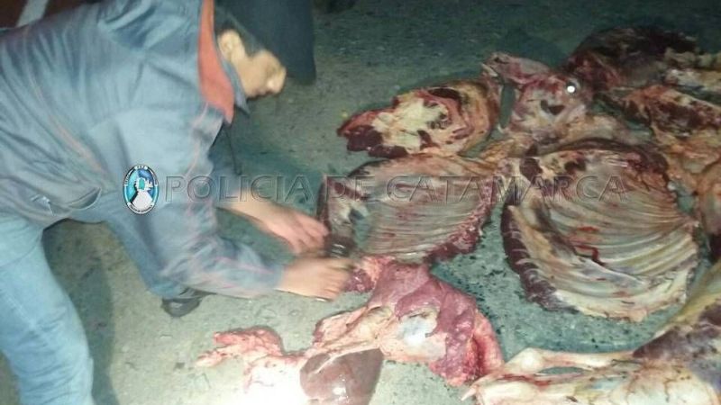 Secuestran 200 kilos de carne faenada en Huillapima
