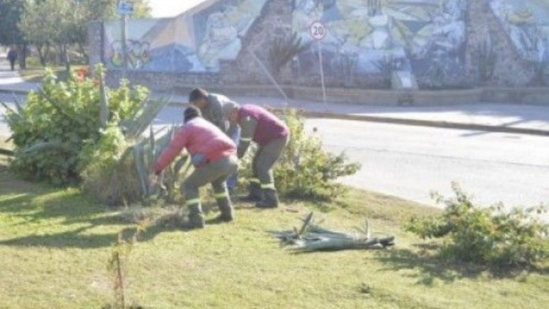 Reacondicionan la rotonda General Martín Miguel de Güemes
