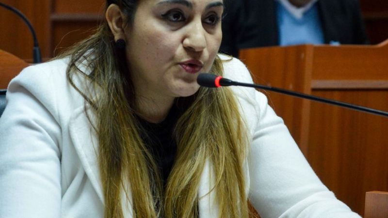 El Senado aprobó obras y mejoras para el interior provincial