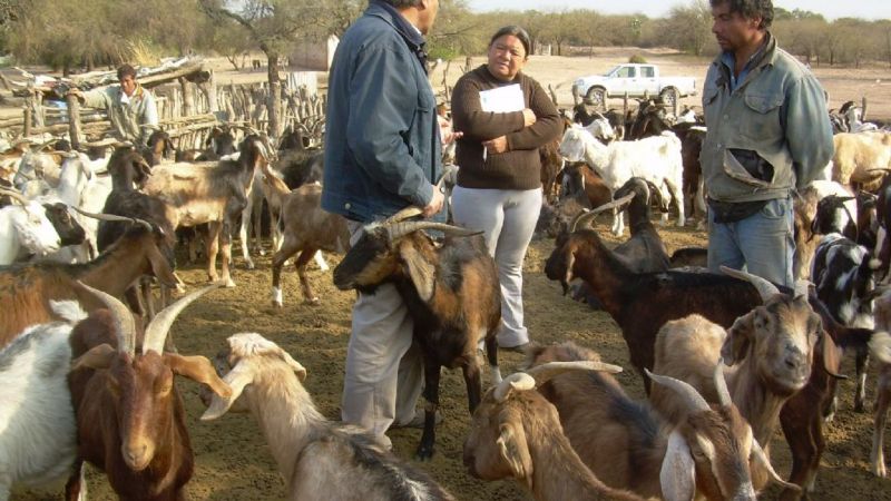 Jornadas-taller de actualización sobre producción caprina