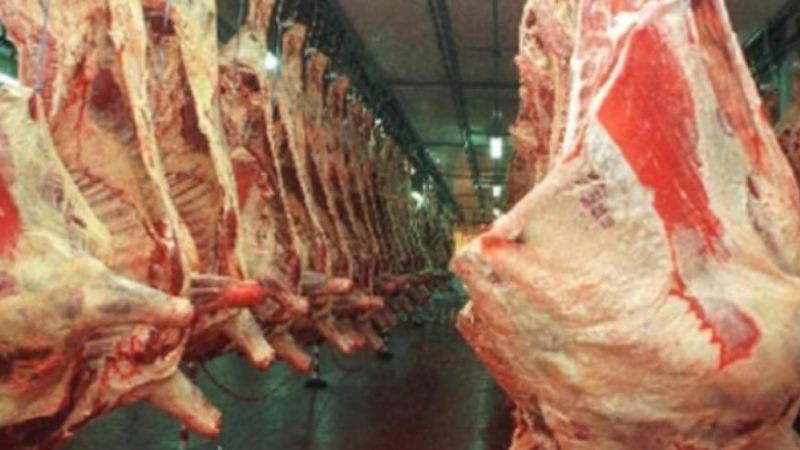 Europa importará carne de varias provincias del norte