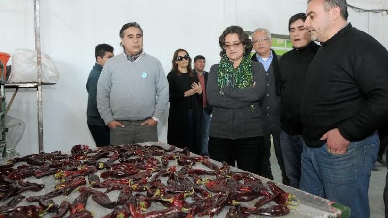 "En el tema de camélidos está nuestro futuro", dijo Lucía