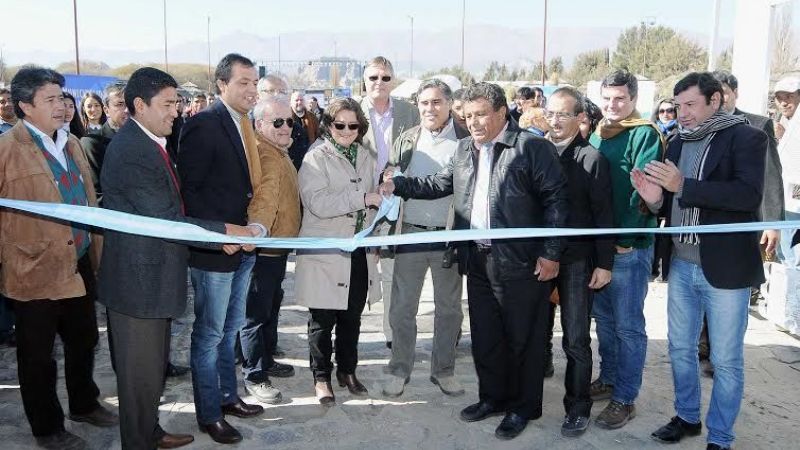 "En el tema de camélidos está nuestro futuro", dijo Lucía