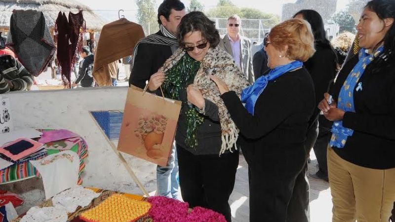 "En el tema de camélidos está nuestro futuro", dijo Lucía