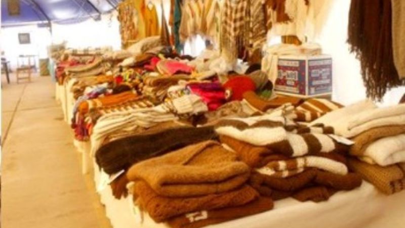 Se presenta la Expo Cerros y Puna