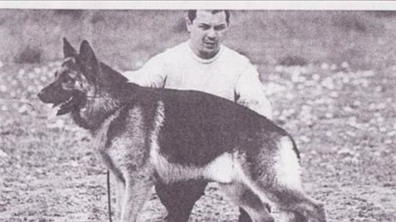 2 de junio: Día Nacional del Perro