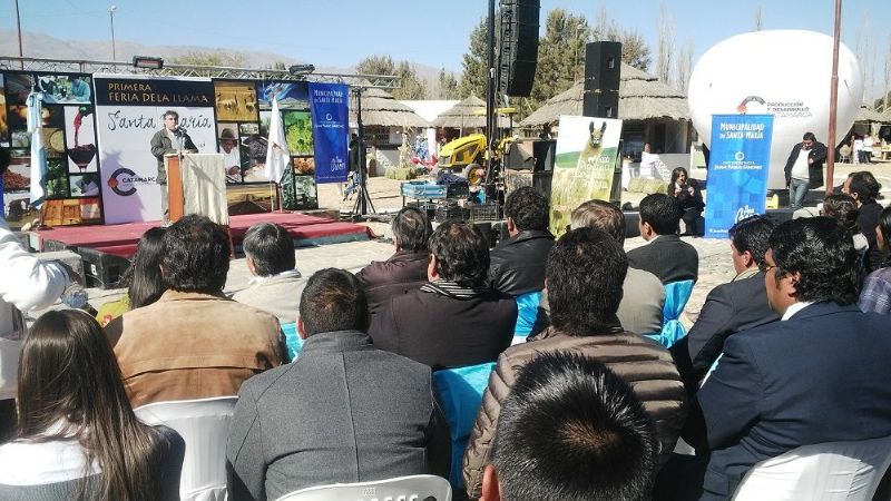 Fuerte apuesta de la provincia para el Plan de Desarrollo de Camélidos