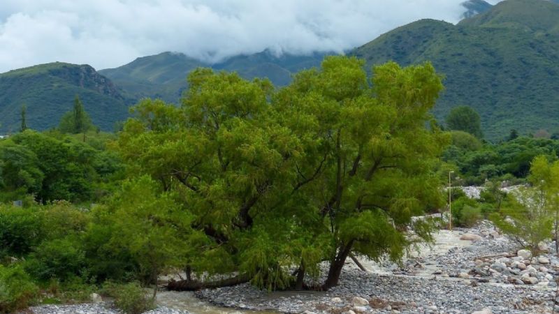 Denunció a su ex pareja por abandonarla desnuda en el río