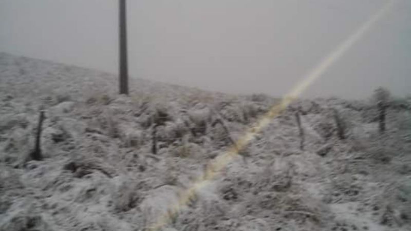 Postales de la nieve