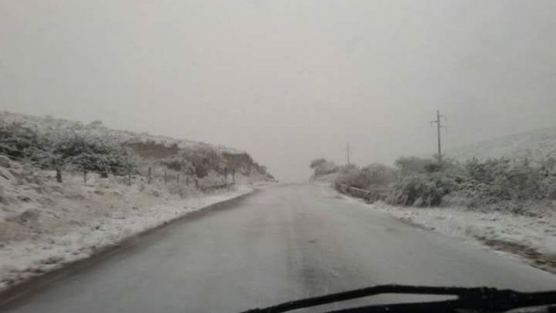 Postales de la nieve