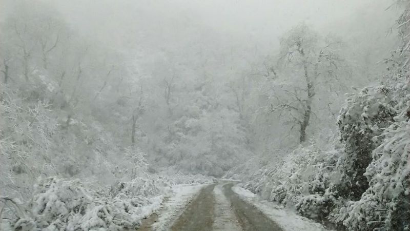 Postales de la nieve