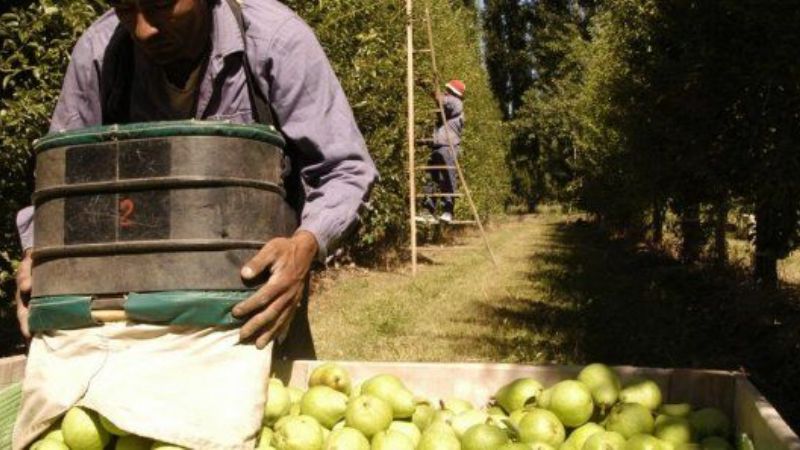 La CAME pide ley para recuperar rentabilidad de economías regionales