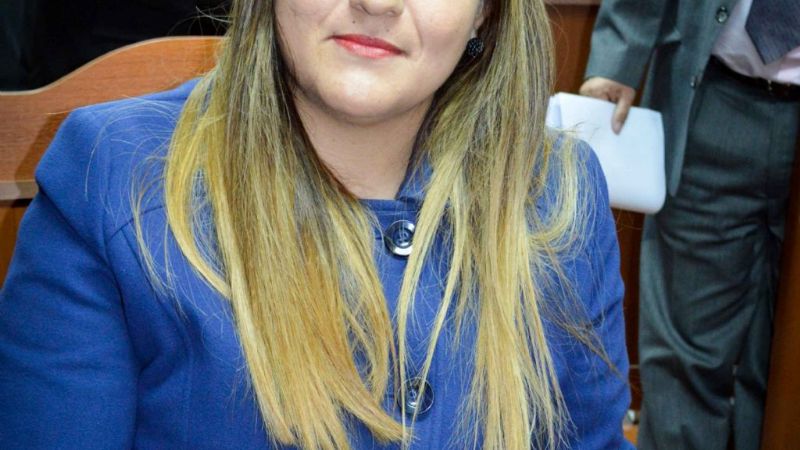 Piden declarar de Interés Legislativo la insignia y canción a la Bandera de Recreo