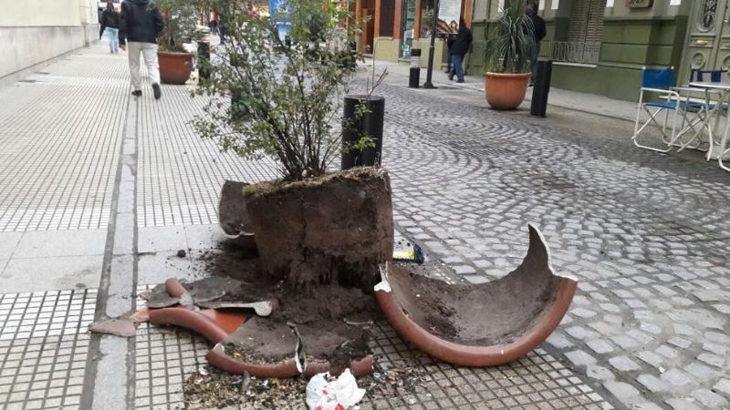 Festejos violentos de hinchas de San Martín de Tucumán