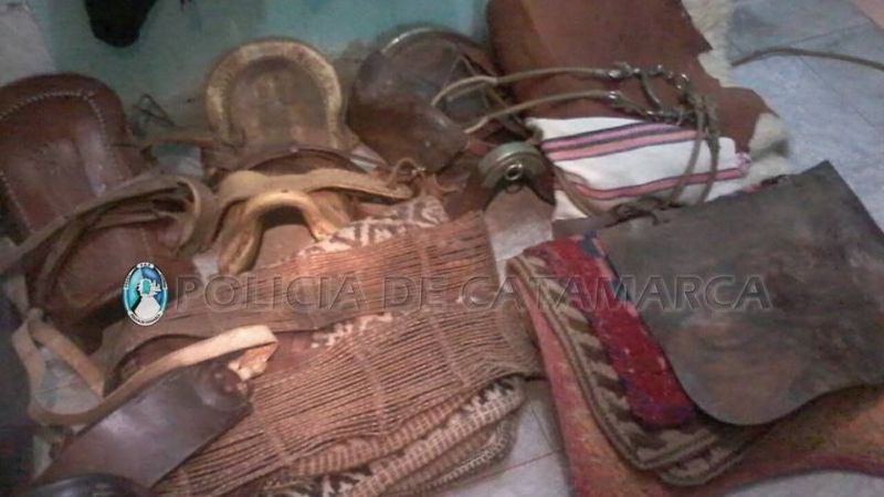 Desbaratan banda que robaba en viviendas y en fincas