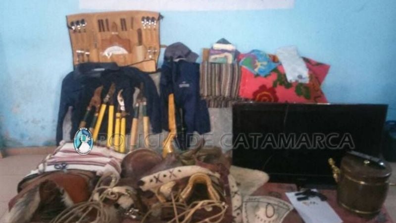 Desbaratan banda que robaba en viviendas y en fincas