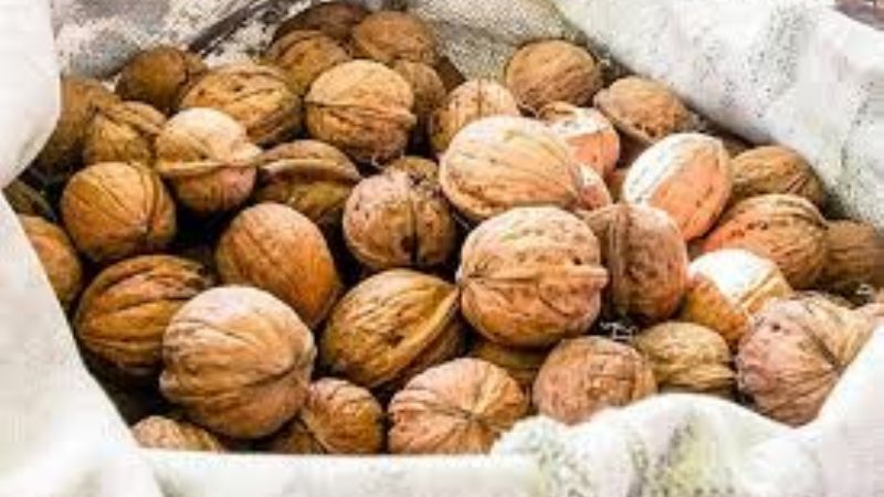 Presentarán el “Plan Nogalero Provincial” en El Rodeo