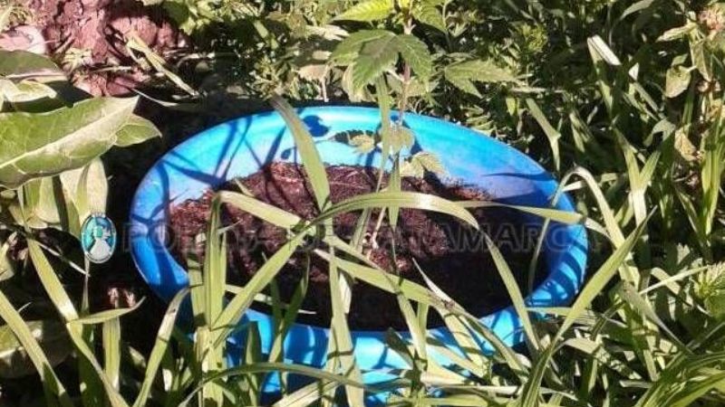 Allanamientos en Andalgalá