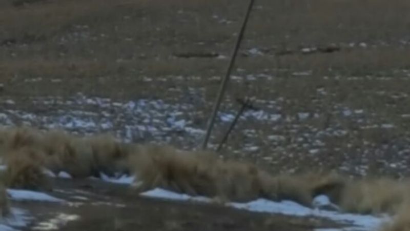 Destrucción total del tendido eléctrico en Ancasti