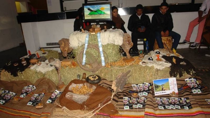 Expo Cerros y Puna 2016: Un evento de integración histórica