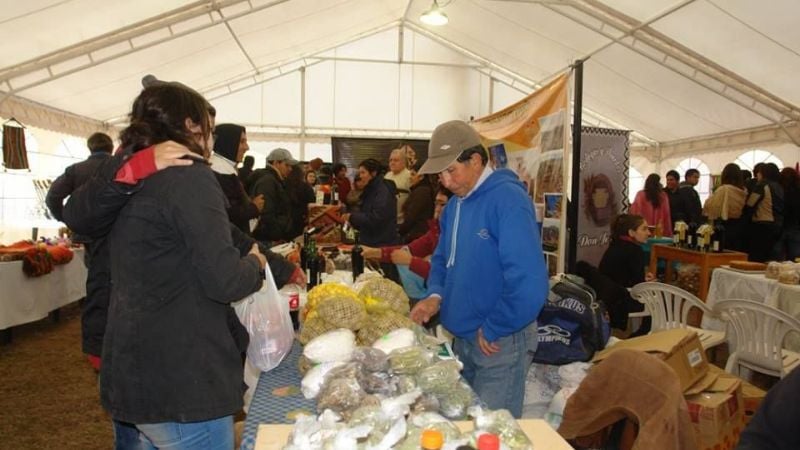 Expo Cerros y Puna 2016: Un evento de integración histórica