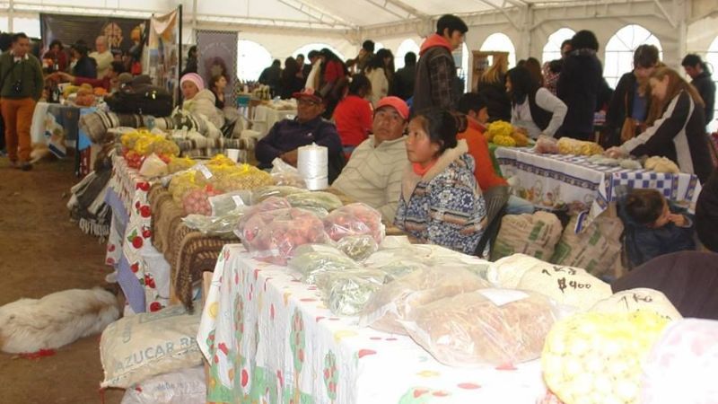 Expo Cerros y Puna 2016: Un evento de integración histórica