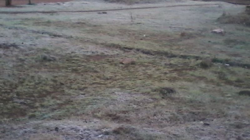 Las calles se vistieron de blanco