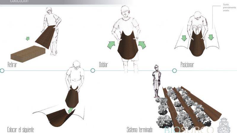 Un Biosurco que mejora el ciclo productivo