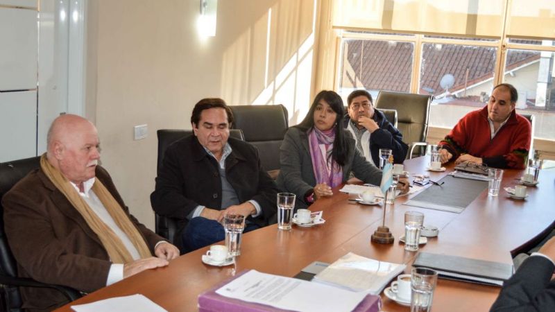 La Comisión de Salud se reunió con el Círculo Médico por el cobro de plus