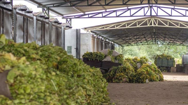 Fuerte caída de la recaudación del Fondo Especial del Tabaco